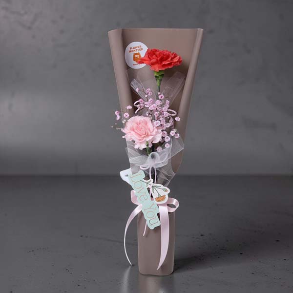 Love Love Carnation