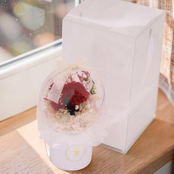 レッドローズボール