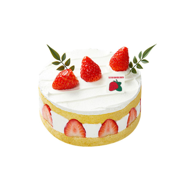 Fresh Strawberry Prezier Cream Cake
