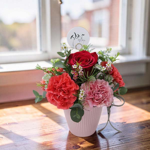 尊敬のカーネーション