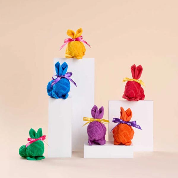 TÉTO ラビットエディション スーピマハンドタオル 6枚セット