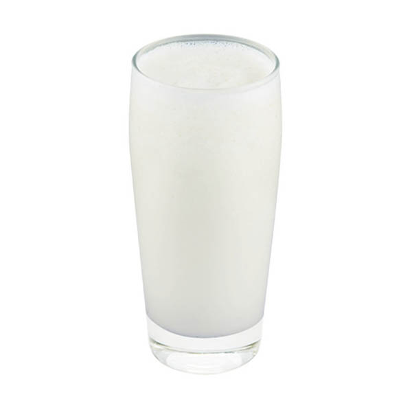 Plain Yogurt (Standard)