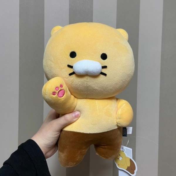 韓国にギフトを贈るならdponGift(ディーポンギフト) | カカオ