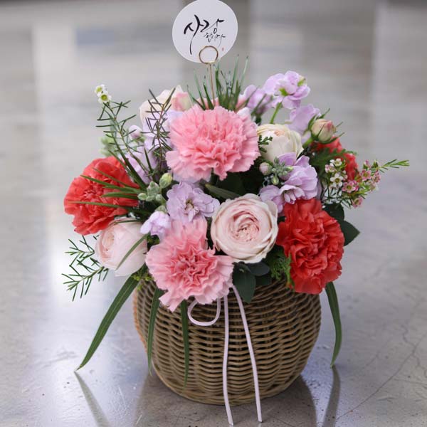 親孝行カーネーション