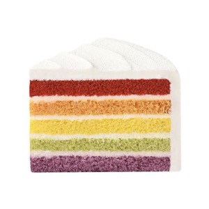 Colorful Rainbow Cake (slice)